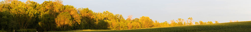 Paysage du marais Poitevin